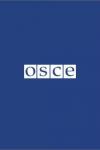 OSCE pubs pic.jpg